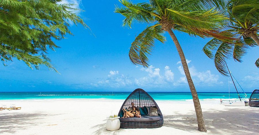 A Couple Sitting in a Bed on the Ocean